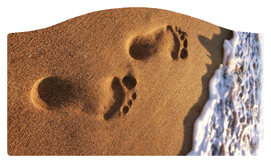 DASHELL-127 (Beach) Footprints